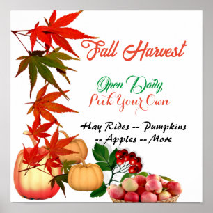 Affiche Automne Harvest Choisissez votre propre Citrouille