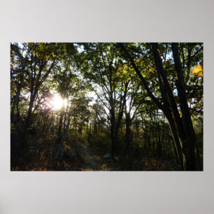 Affiche Automne Matin au Parc national de Shenandoah