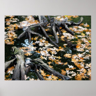 Affiche Automne Otter Pond Feuille