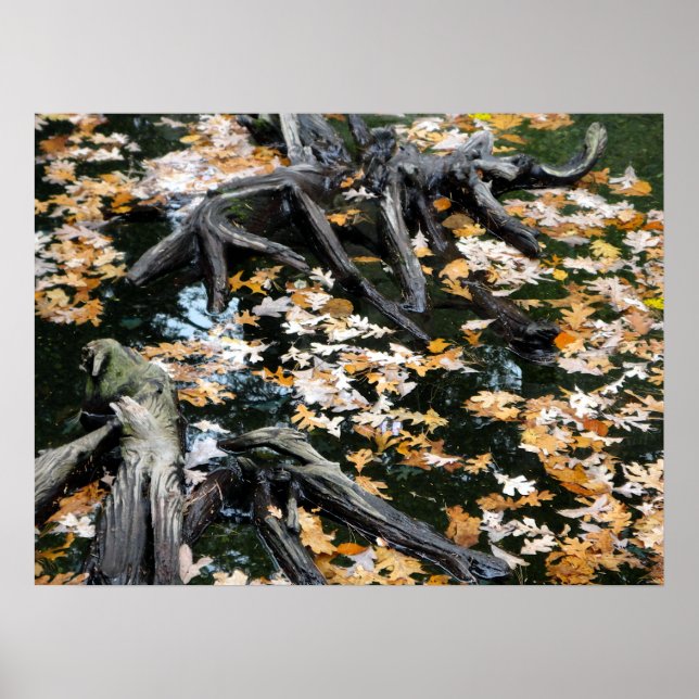Affiche Automne Otter Pond Feuille (Devant)
