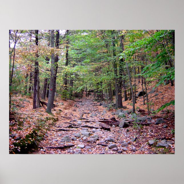Affiche Automne sur Blue Hills Réservation Red Dot Trail (Devant)