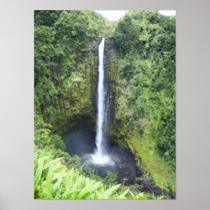 Affiche Automnes d'Akaka