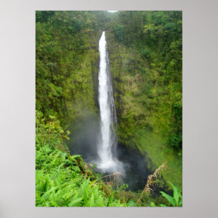 Affiche Automnes d'Akaka, Hawaï