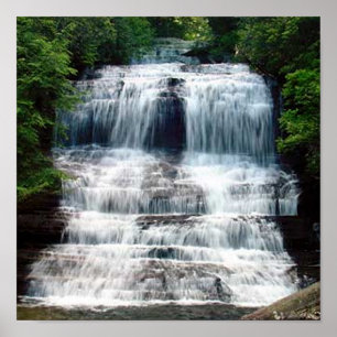 Affiche Automnes glissants de sorcière