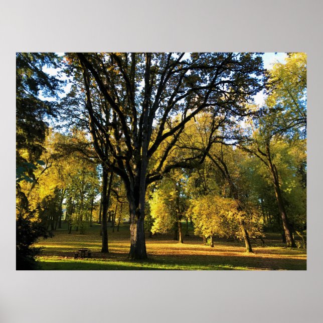 Affiche Autumn at Champoeg State Park (Devant)