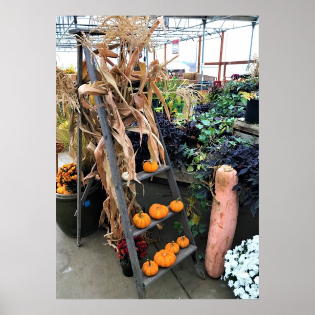 Affiche Autumn Decor (Devant)