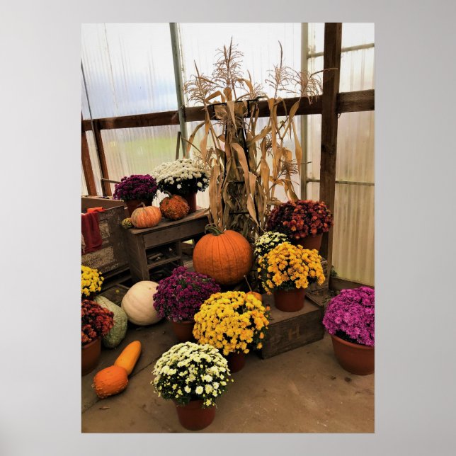 Affiche Autumn Decor (Devant)