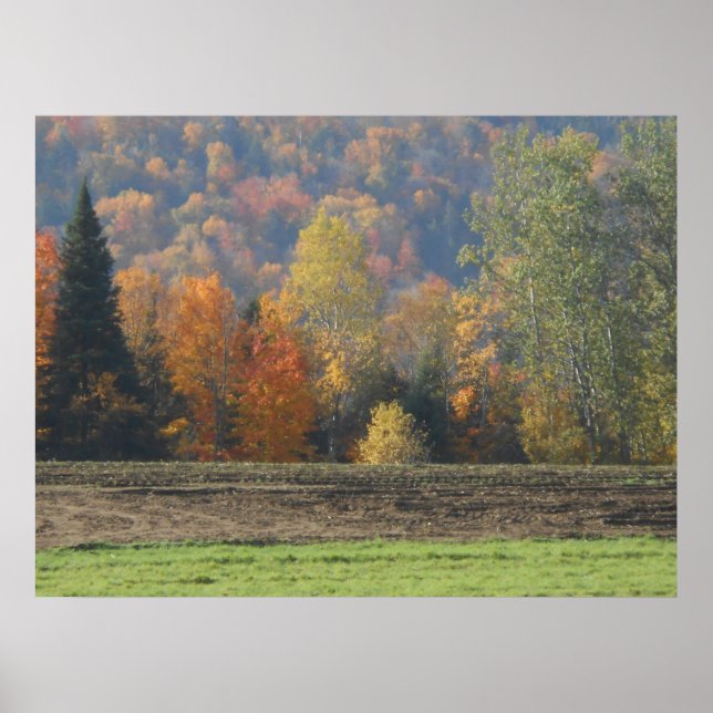 Affiche Autumn Field Adirondacks Paysage de la scène des a (Devant)
