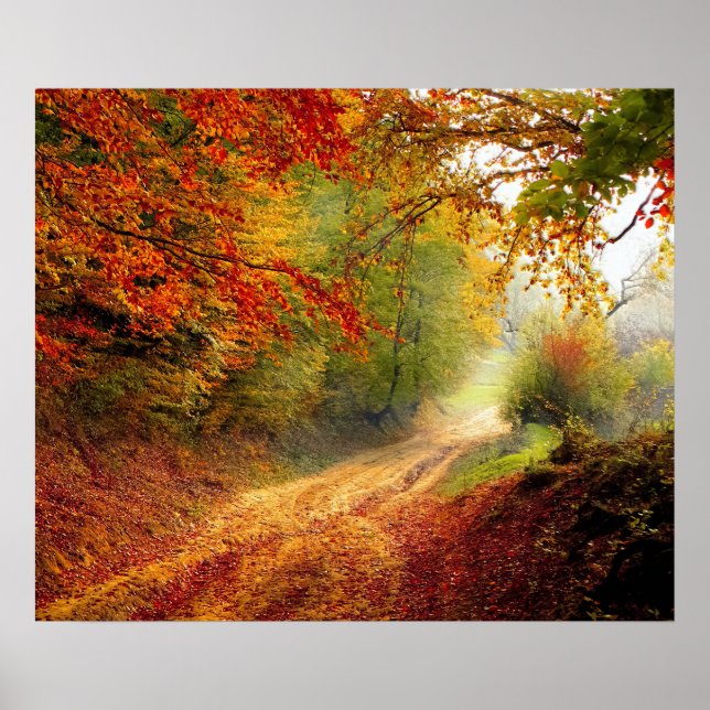 Affiche Autumn Leaves and Trees Covering Dirt Road (Devant)