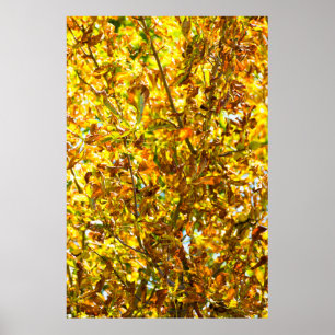 Affiche Autumn leaves pattern