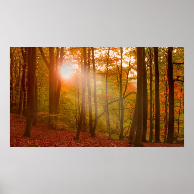 Affiche Autumn Splendor (Devant)