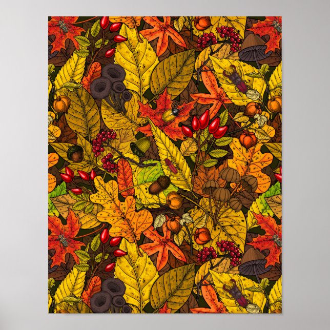 Affiche Autumn treasures (Devant)