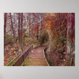 Affiche Autumn Walk