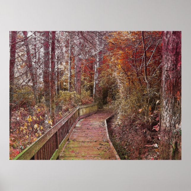 Affiche Autumn Walk (Devant)