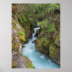 Affiche Avalanche Creek, parc national de Glacier, Montana