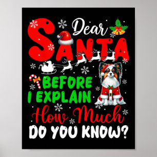 Affiche Avant D'Expliquer Combien Vous Connaissez Xmas Pap
