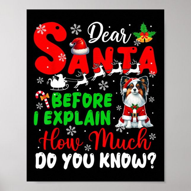 Affiche Avant D'Expliquer Combien Vous Connaissez Xmas Pap (Devant)