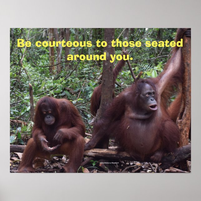 Affiche Avec l'aimable autorisation de la salle de classe (Devant)