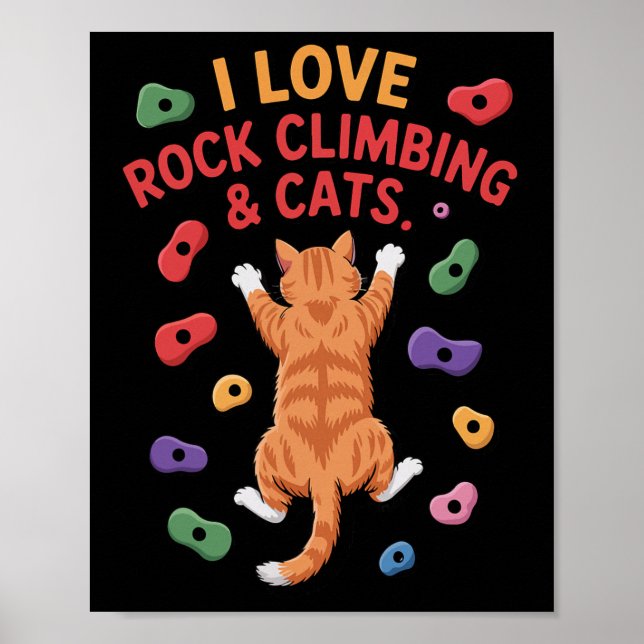 Affiche Aventurier drôle de chat grimpeur de roche Prise d (Devant)