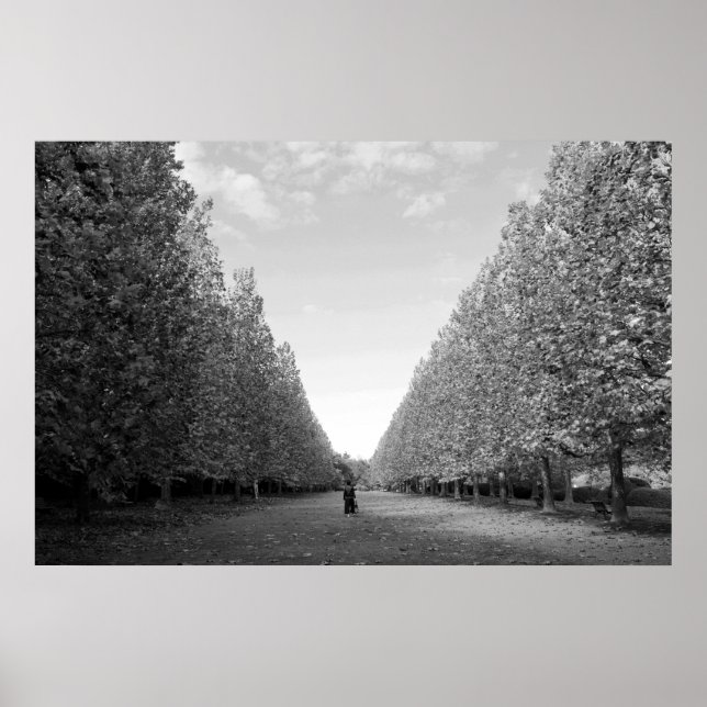 Affiche Avenue des Arbres à Avions : Tokyo (noir/blanc) (Devant)