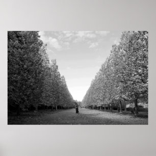 Affiche Avenue des platanes : Tokyo (noir/blanc)