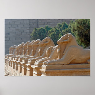 Affiche Avenue des sphinx dans le temple de Karnak - Egypt