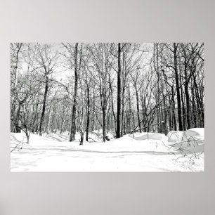 Affiche Aveuglé par la neige