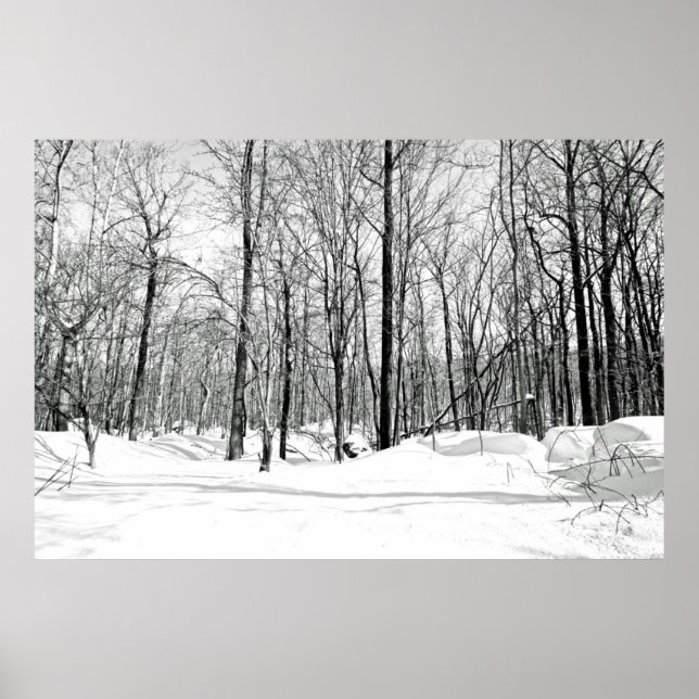 Affiche Aveuglé par la neige (Devant)