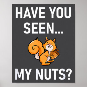 Affiche Avez-vous vu mes noix, Squirrel Pun drôle, Blagues