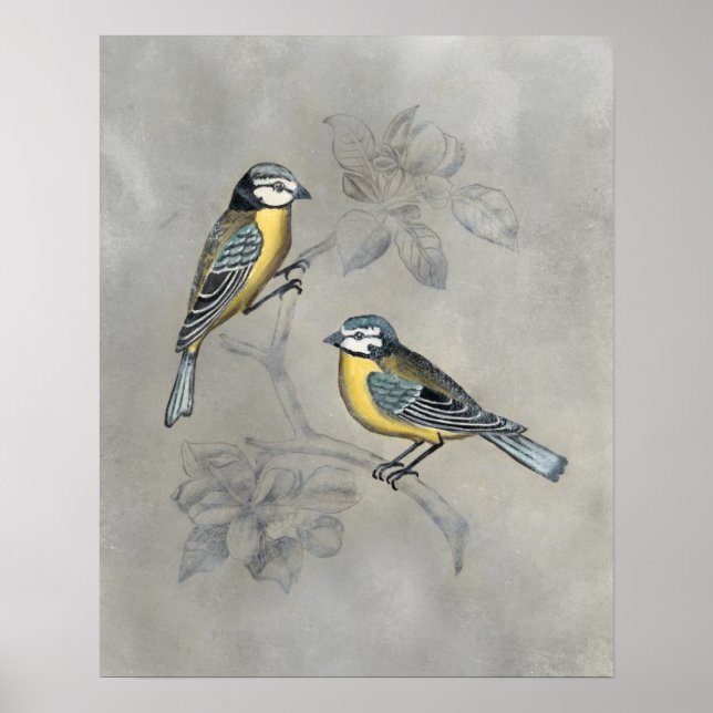 Affiche Aviaire argenté | Couple d'oiseaux (Devant)