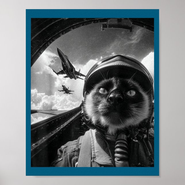 Affiche Avion Chat Réacteur Pilote Selfie Siamois Chasseur (Devant)