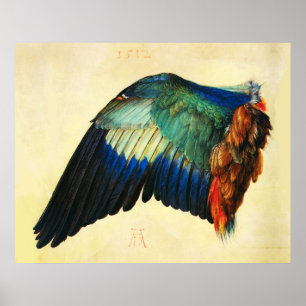 Affiche AVION D'UN ROULEUR EUROPÉEN Durer