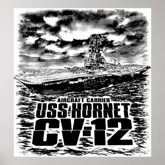 Affiche Avion Hornet (Devant)