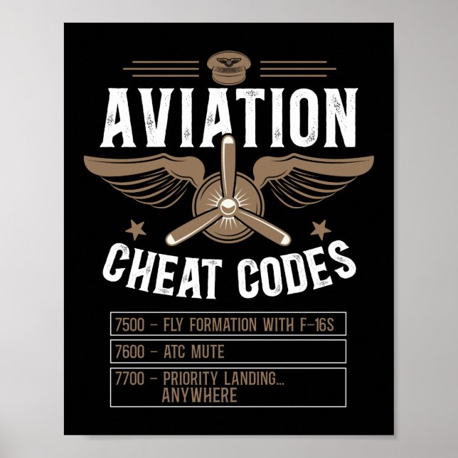 Affiche Avion Pilote Aéronefs Aviation Cheat Codes 7500 (Devant)
