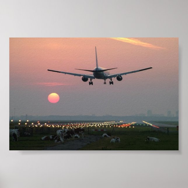 Affiche Avions et vaches (Devant)