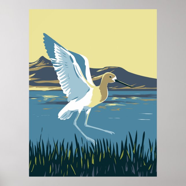Affiche Avocet américain (Devant)
