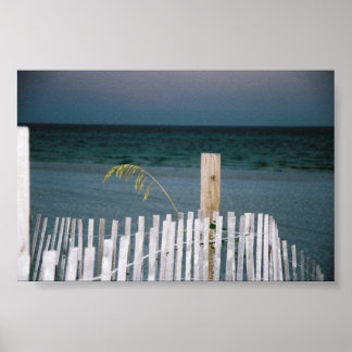 Affiche avoine marine