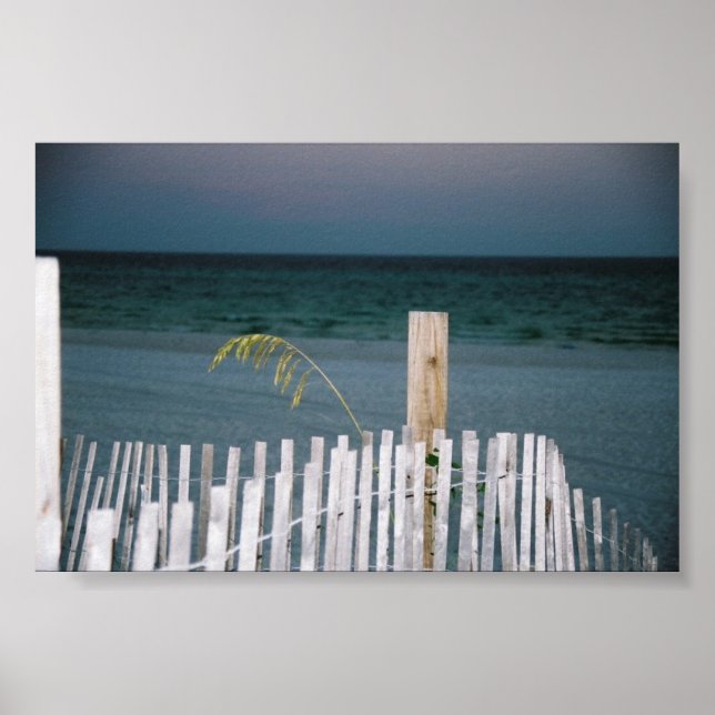 Affiche avoine marine (Devant)