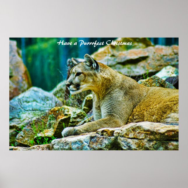 Affiche Avoir un Noël parfait (Devant)