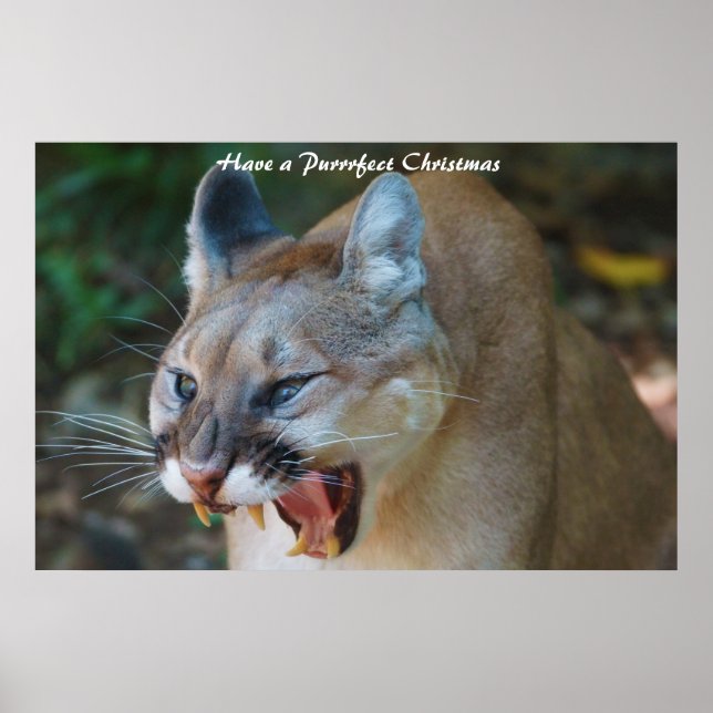 Affiche Avoir un Noël parfait (Devant)