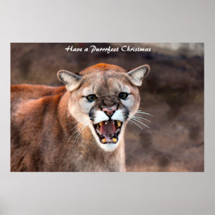 Affiche Avoir un Noël parfait