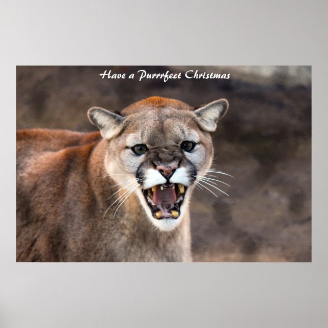 Affiche Avoir un Noël parfait (Devant)