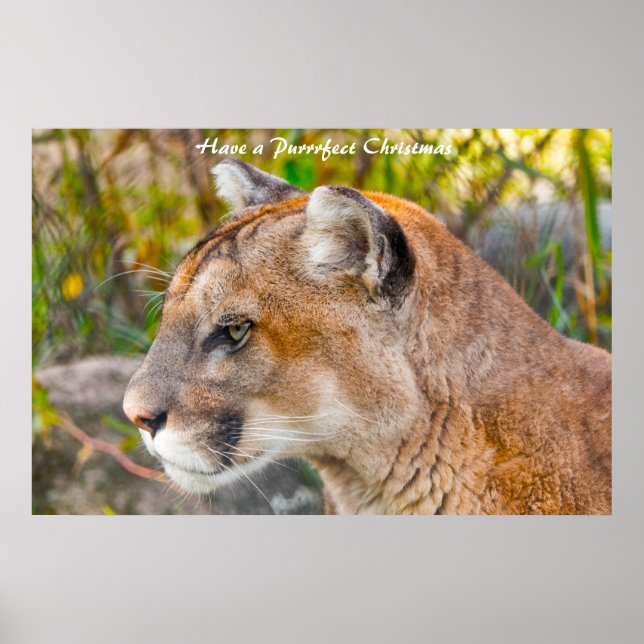 Affiche Avoir un Noël parfait (Devant)