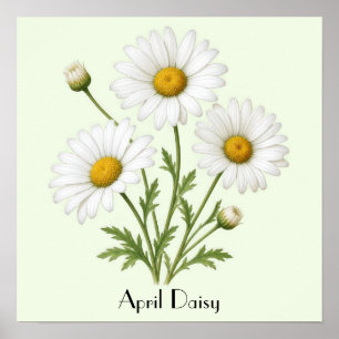 Affiche Avril Daisy Flowers