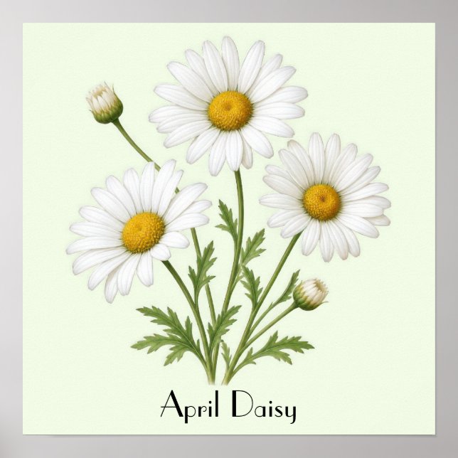 Affiche Avril Daisy Flowers (Devant)