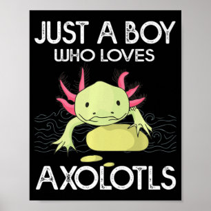 Affiche Axolotl Cadeau Anime Japonais Juste Un Garçon Qui