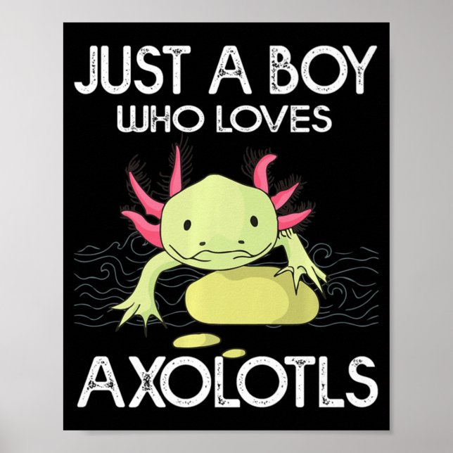 Affiche Axolotl Cadeau Anime Japonais Juste Un Garçon Qui  (Devant)