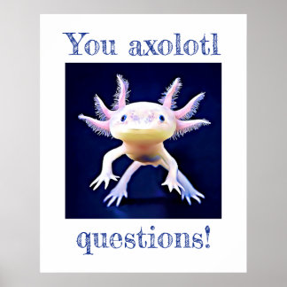 Affiche Axolotl Salamander Amphibian