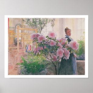 Affiche Azalea, 1906 (w/c sur paper)