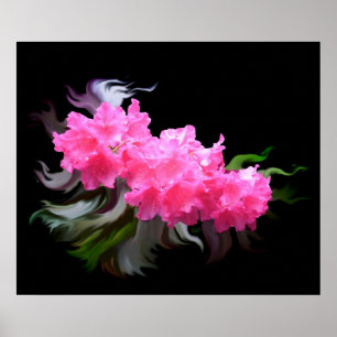 Affiche Azaleas